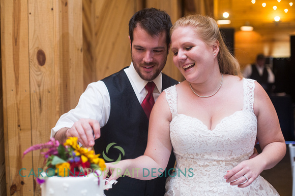 Gleeson_Wedding_480